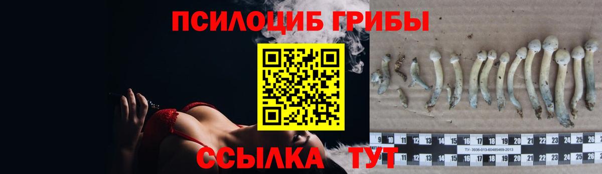 Ханты-Мансийск  Псилоцибиновые грибы Cubensis  Вход с VPN 